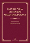 ebook Encyklopedia stosunków międzynarodowych - 