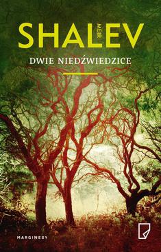 ebook Dwie niedźwiedzice