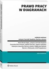 ebook Prawo pracy w diagramach - Maria Bosak,Justyna Czerniak-Swędzioł,Dominika Dörre-Kolasa,Mariusz Lekston,Izabela Florczak,Małgorzata Mędrala,Ariel Przybyłowicz,Katarzyna Jaworska,Marcin Mielczarek,Jagoda Jaskulska