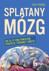 ebook Splątany mózg - Luiz Pessoa