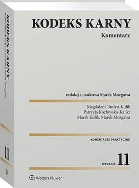 ebook Kodeks karny. Komentarz