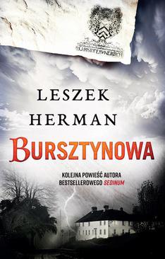 ebook Bursztynowa