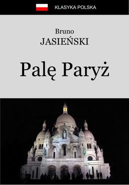 ebook Palę Paryż