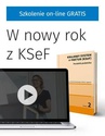 ebook Krajowy System e-Faktur (KSeF) - Andrzej Pałys,Ernest Frankowski,Adrian Lapierre