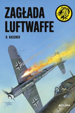ebook Zagłada Luftwaffe