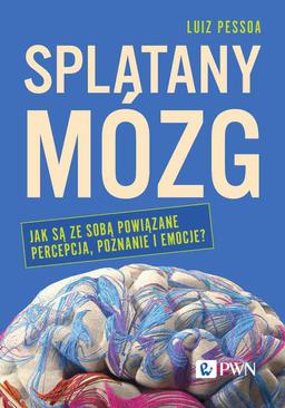 ebook Splątany mózg