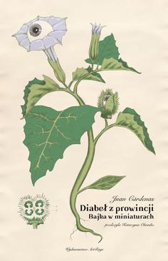 ebook Diabeł z prowincji